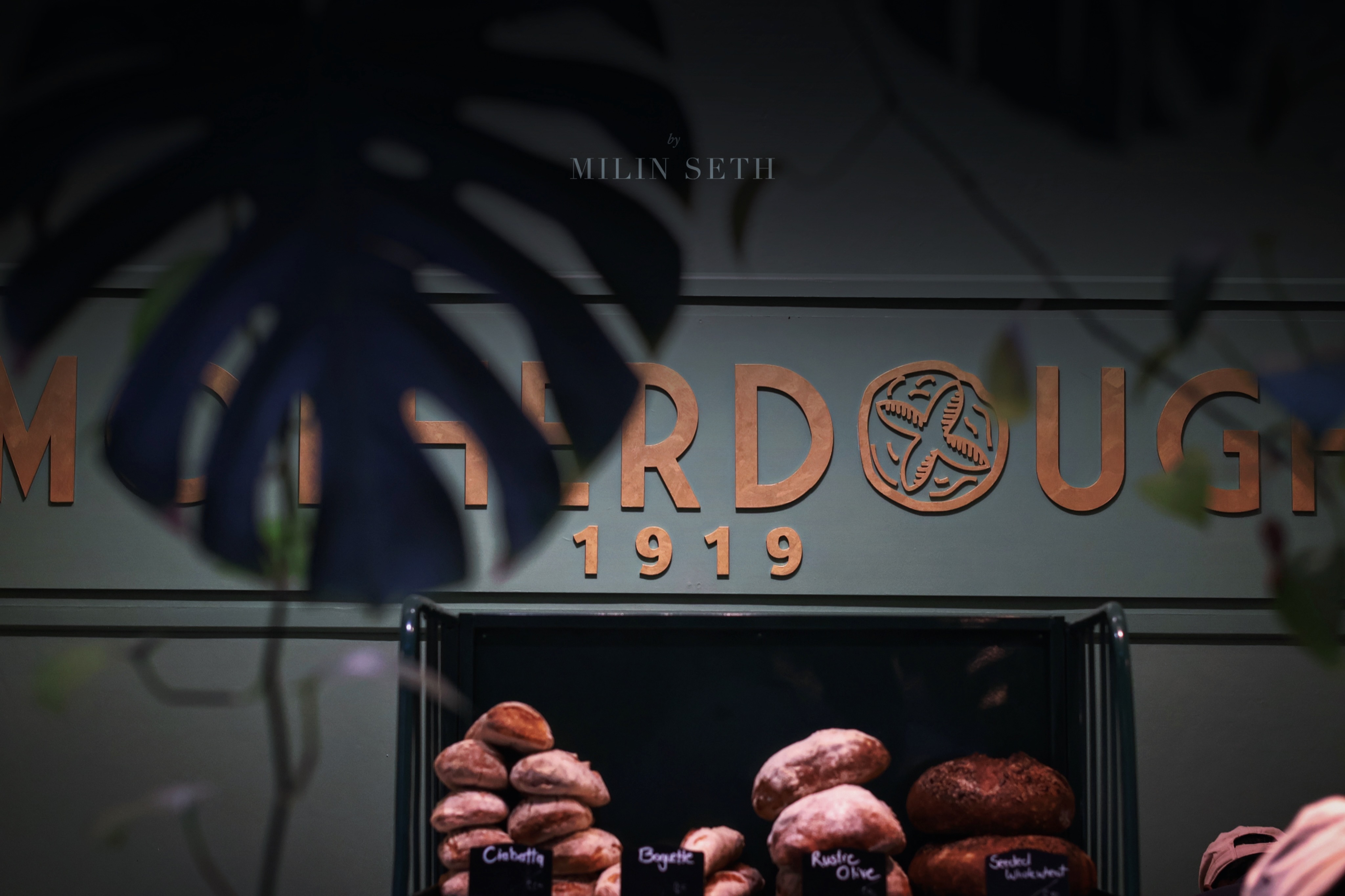 Brand Collaboration
