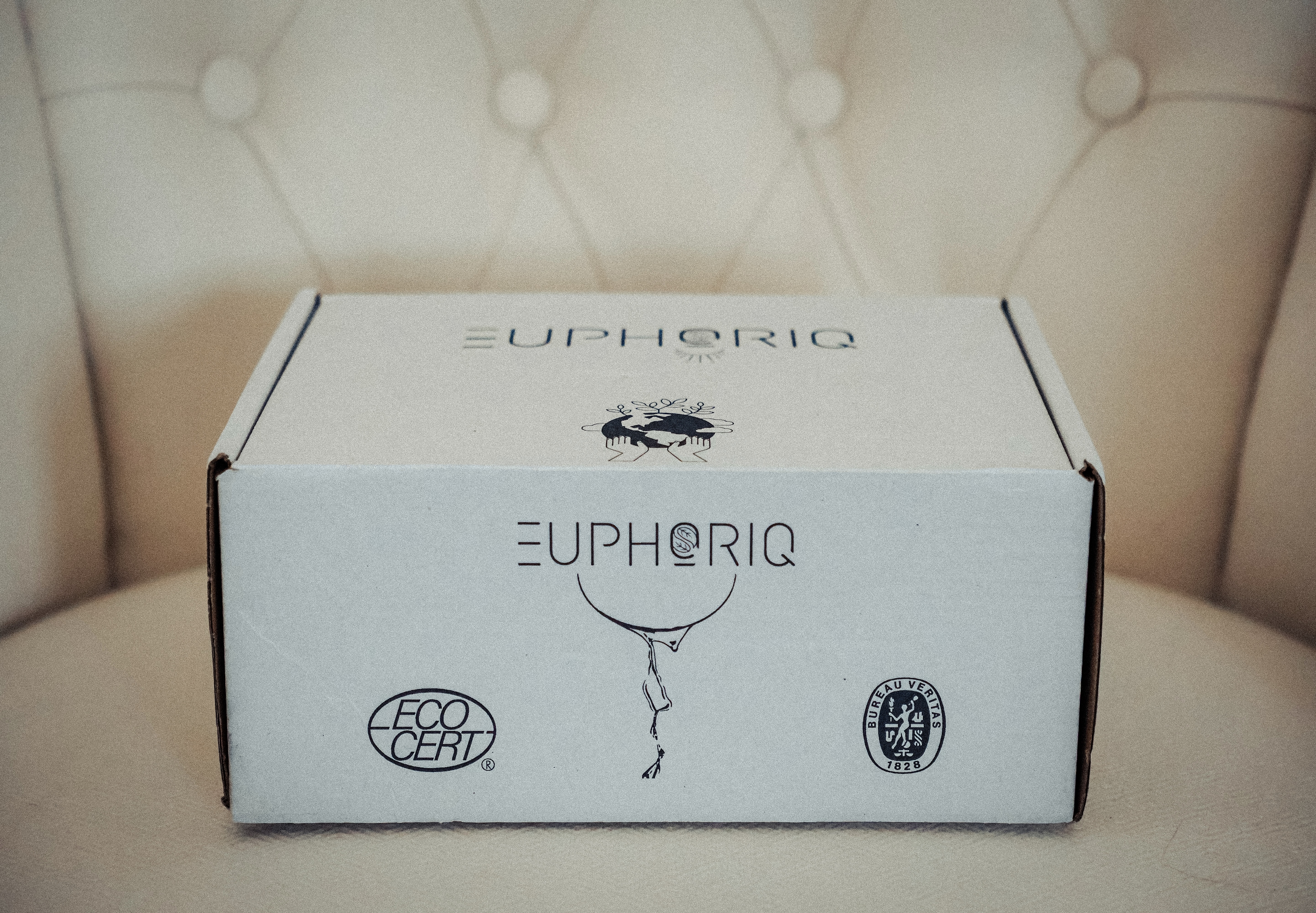 Brand Collaboration